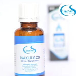 Daucus CS