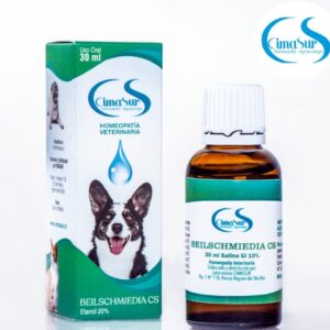 Beilschmiedia CS