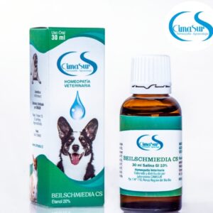 Beilschmiedia CS